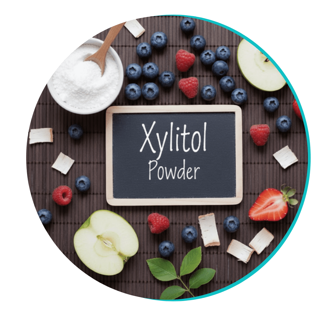 Xylitol Powder Ingredient